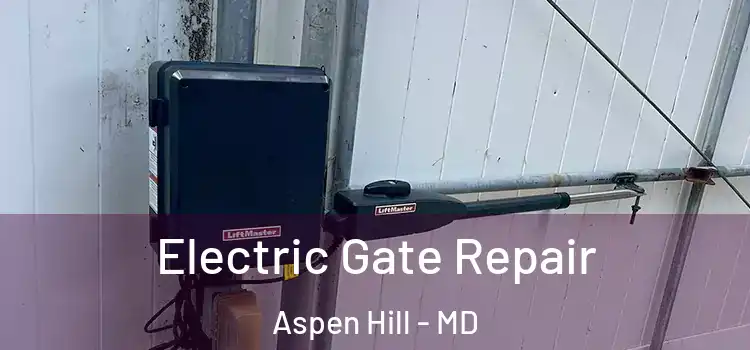  Electric Gate Repair Aspen Hill - MD