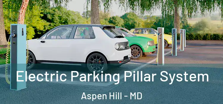 Electric Parking Pillar System Aspen Hill - MD