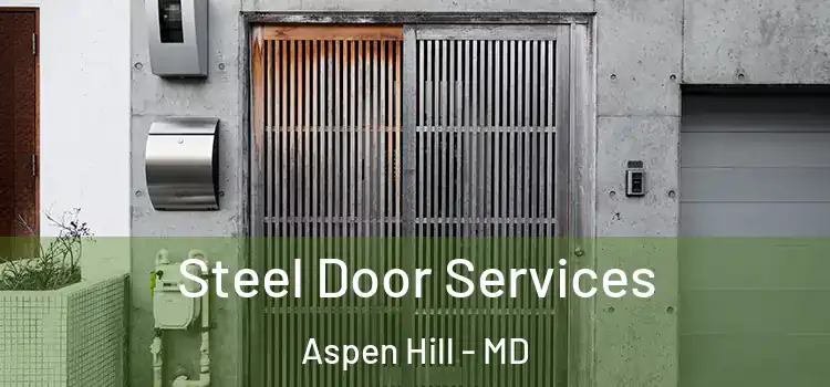 Steel Door Services Aspen Hill - MD